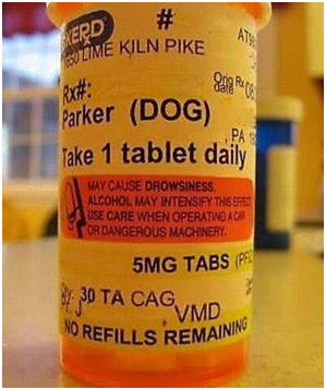 parker DOG | take 1 tablet daily | 5MG TABS | 30 TA CAG VMD | NO REF ILLS REMAINING