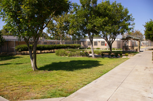 Las Colinas Detention Center